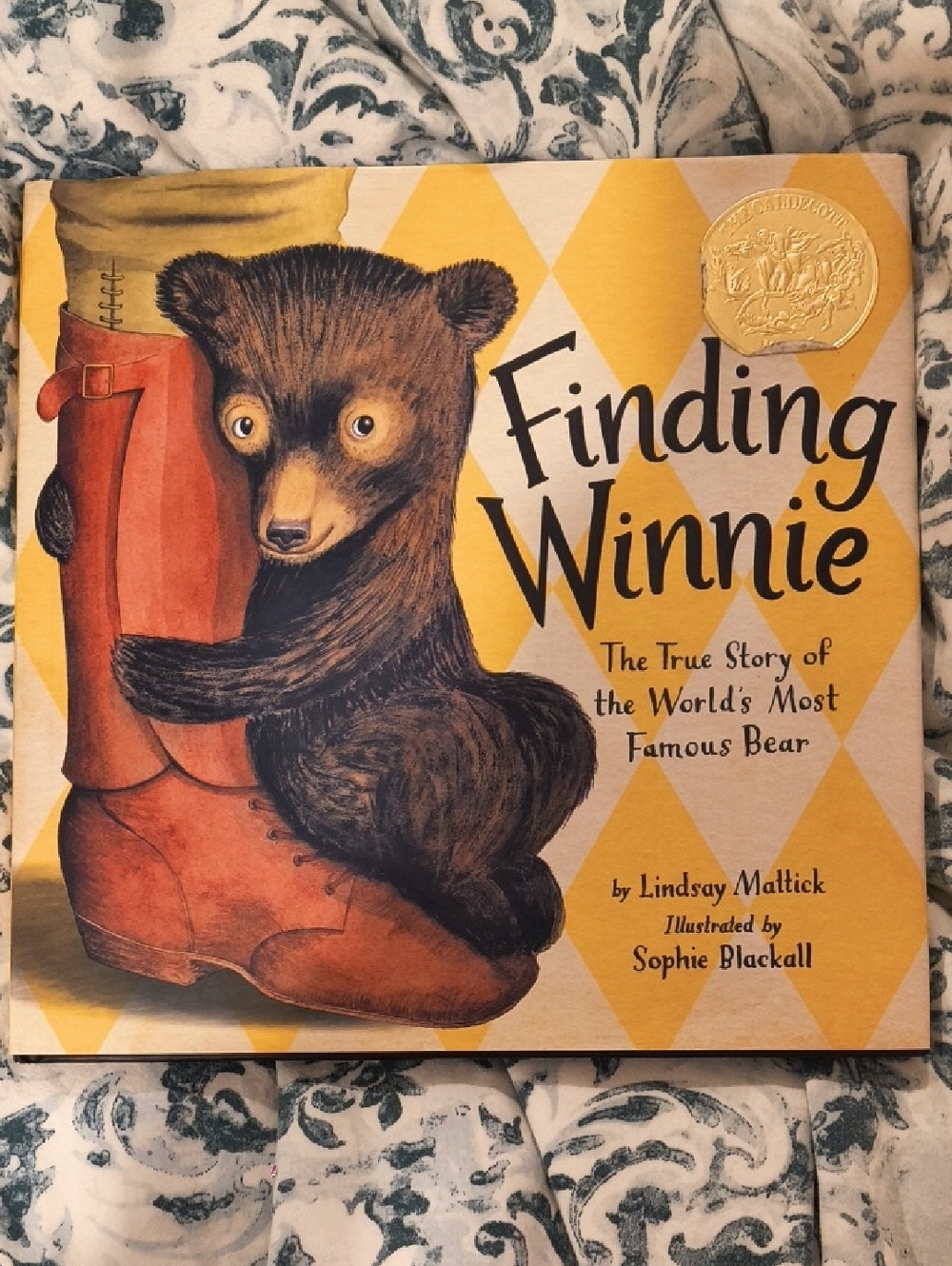 Finding Winnie Children's Picture Book -  Hardback